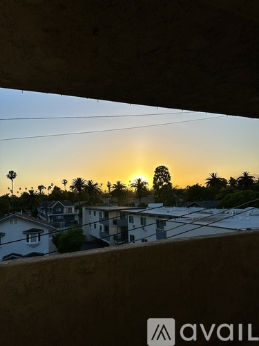 A sunset view from a rooftop with houses and palm trees.