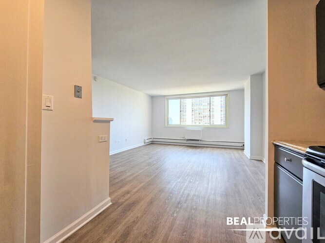 1344 N Dearborn St Studio Apartment for Rent - Photo gallery 5