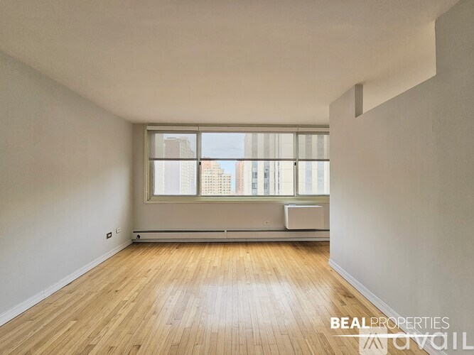 1344 N Dearborn St Studio Apartment for Rent - Photo gallery 5