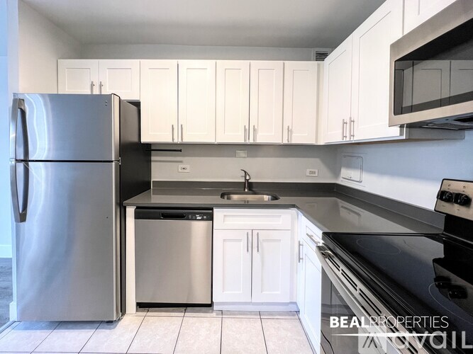 1344 N Dearborn St Studio Apartment for Rent - Photo gallery 5