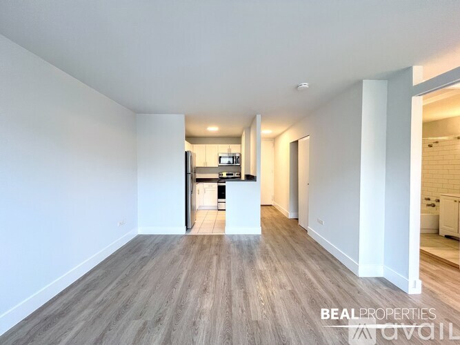 1344 N Dearborn St Studio Apartment for Rent - Photo gallery 2