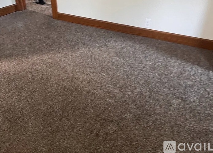 A carpet with a brownish hue is laid out in a room.