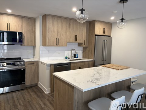 227 East Walton Place 2 Beds Apartment for Rent