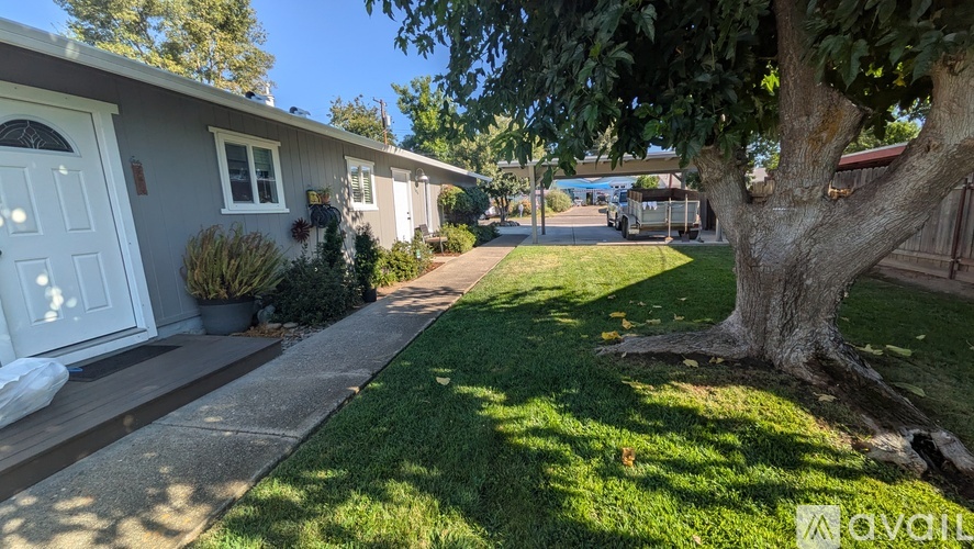 A house with a white door and a tree in front of it.