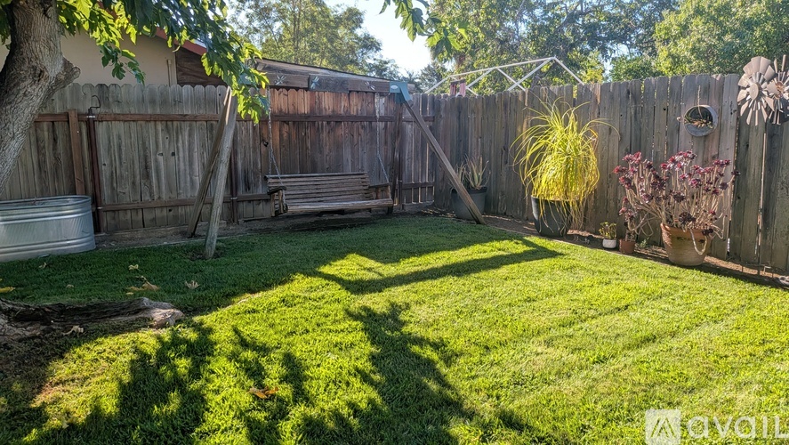 A backyard with a wooden fence and a tree.