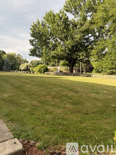 A large tree stands in the middle of a grassy field.