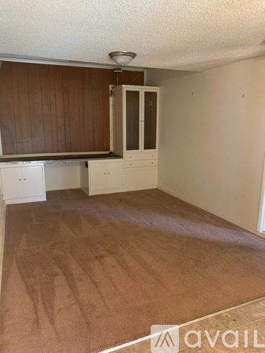 A room with a brown carpet and white cupboard.