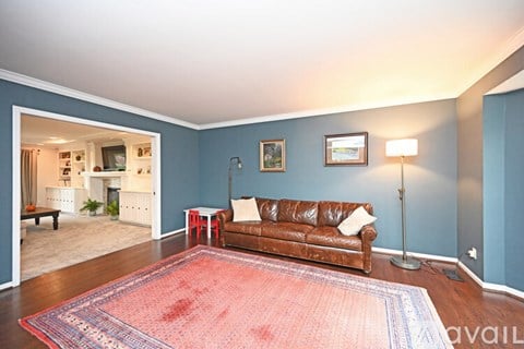 A living room with a brown couch and a red rug.