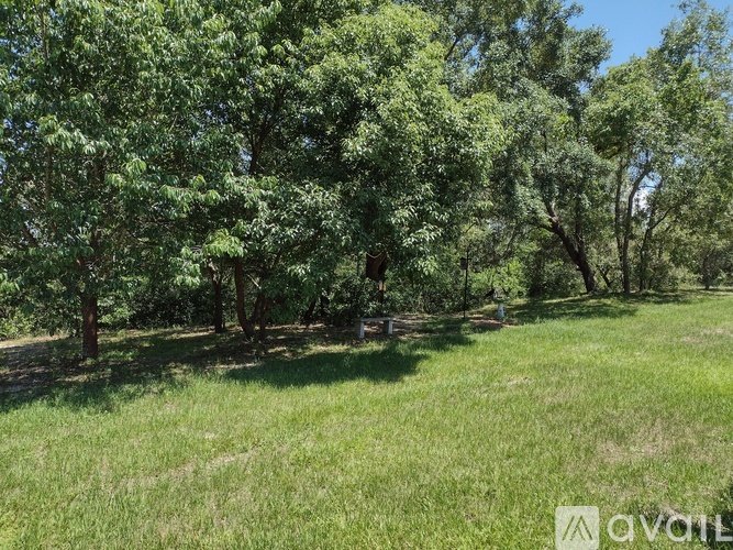 A grassy field with trees in the background.