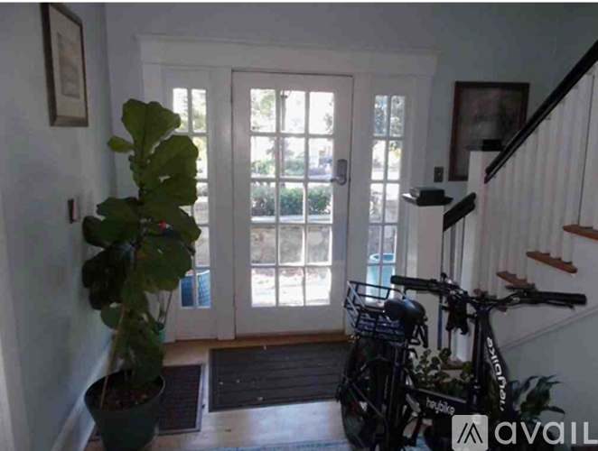 A room with a bicycle and a plant.