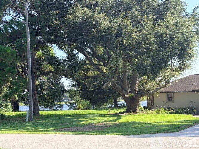 A tree in a grassy area with a house in the background.