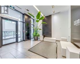 A reception area with a plant and a rug in the foreground.