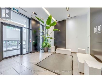 A reception area with a plant and a rug in the foreground.