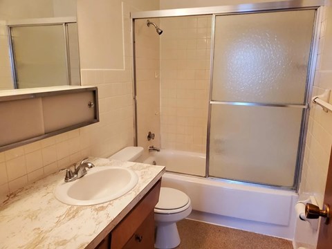 A bathroom with a sink, toilet, and shower.