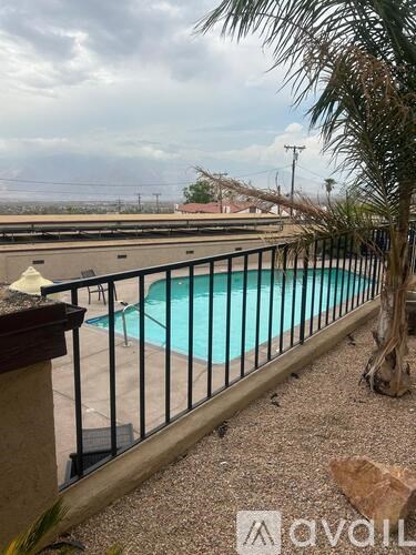 A pool surrounded by a black fence with a palm tree in the foreground.