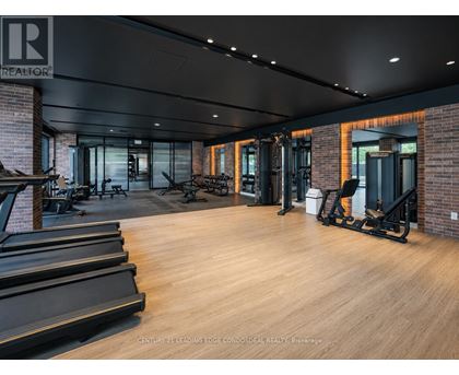 A gym with treadmills, weights and exercise equipment.