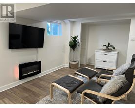 A living room with a fireplace, a TV, and a plant.