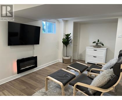 A living room with a fireplace, a TV, and a plant.