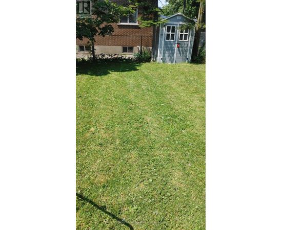 A green lawn with a shed and a tree in the background.