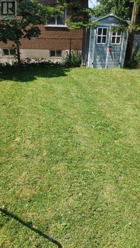 A green lawn with a shed and a tree in the background.