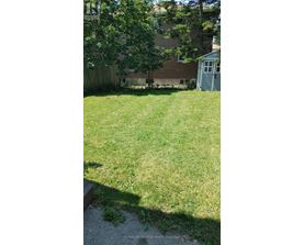 A backyard with a well-maintained lawn and a shed in the background.