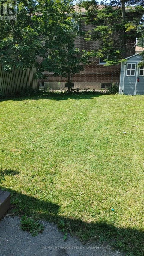 A backyard with a well-maintained lawn and a shed in the background.