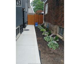 A small garden with a white pathway and a blue barrel.