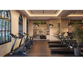 A gym with treadmills and a row of exercise bikes.