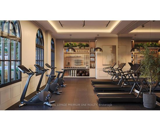 A gym with treadmills and a row of exercise bikes.