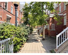 A tree-lined walkway between two rows of red brick houses.