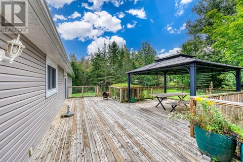 A wooden deck with a gazebo and potted plants.