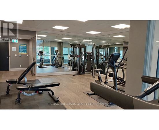 A gym with a variety of equipment including treadmills, weights, and exercise machines.