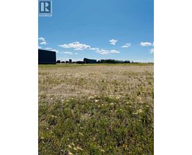 A field with a blue sky and clouds.