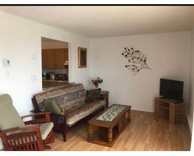 A living room with a couch, chair, and television.