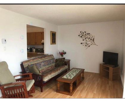 A living room with a couch, chair, and television.