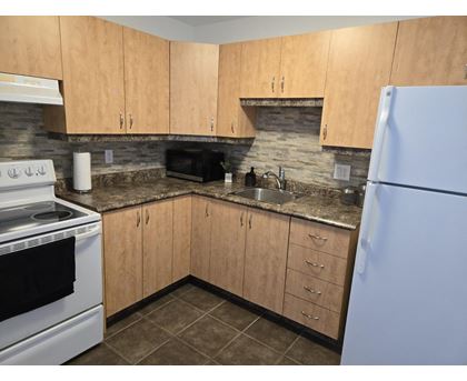 389 Boul. des Grives, #1 1 Apartment, Condo, Home for Rent - Photo gallery 4