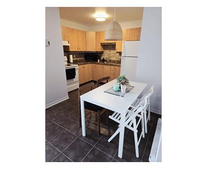 389 Boul. des Grives, #1 1 Apartment, Condo, Home for Rent - Photo gallery 5