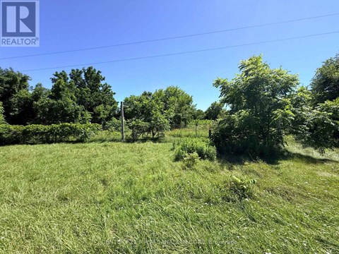 A grassy field with trees and a clear sky.
