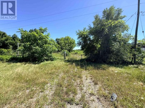 A grassy field with a dirt path and trees in the distance.