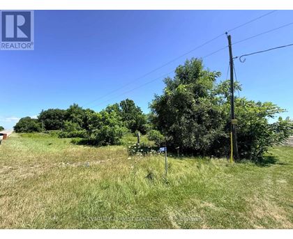 A grassy field with trees and a utility pole in the distance.