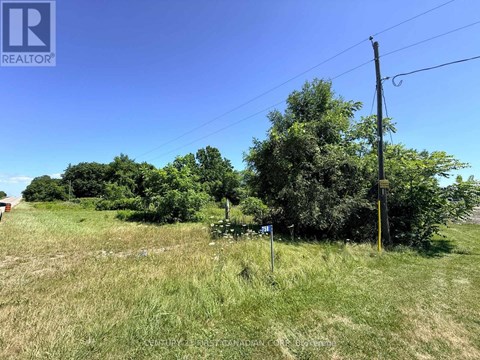 A grassy field with trees and a utility pole in the distance.