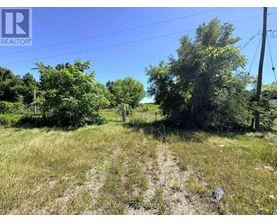 A grassy field with a dirt path and trees in the distance.