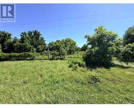 A grassy field with trees and a clear sky.