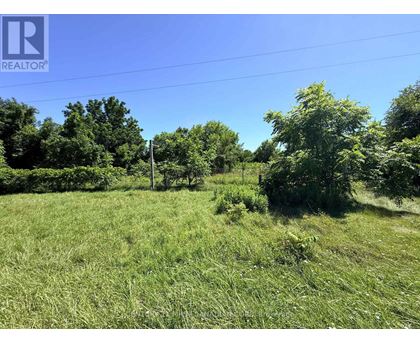 A grassy field with trees and a clear sky.