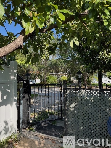 A gate with a metal fence and a white wall with a tree branch hanging over it.