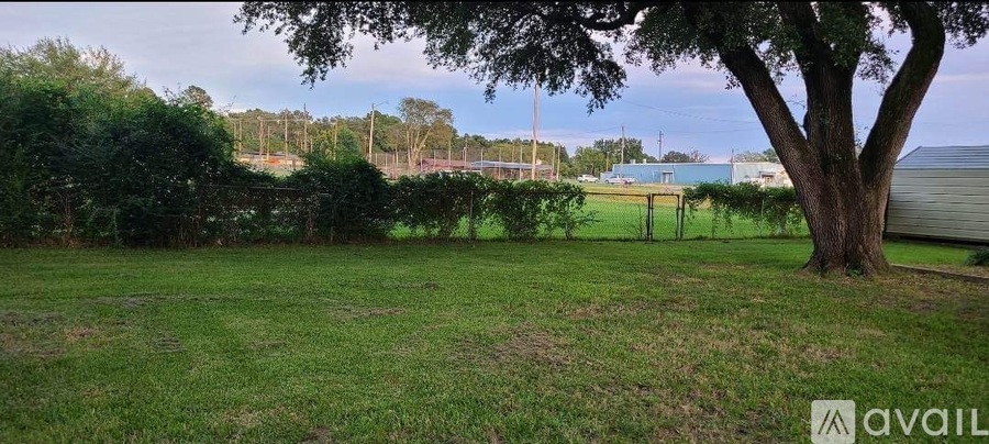 A grassy field with a tree in the foreground and a fence in the background.