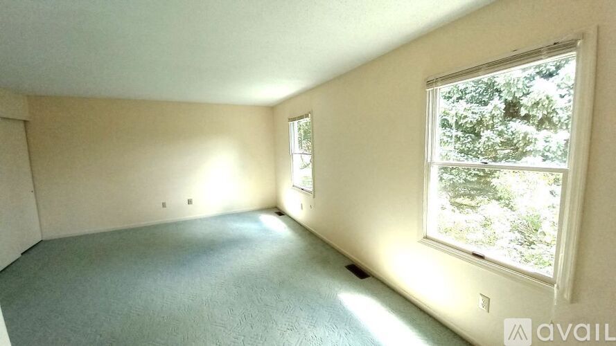 A room with a carpeted floor and a window showing trees outside.