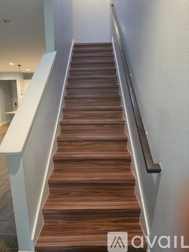 17833 Althea Blue Place 3 Beds Apartment for Rent