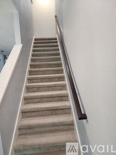 A staircase with beige carpeted steps and a dark brown handrail.