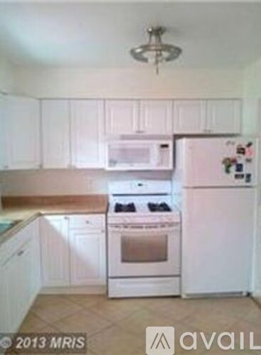 3002 Winter Pine Ct 4 Beds Townhouse for Rent - Photo gallery 2